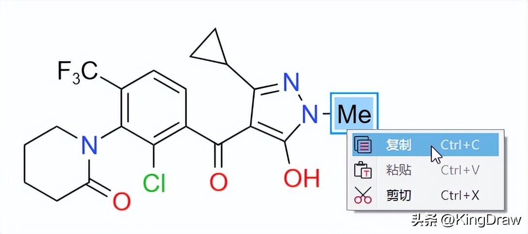 免费！高效！专业！“KingDraw教育版”正式上线~