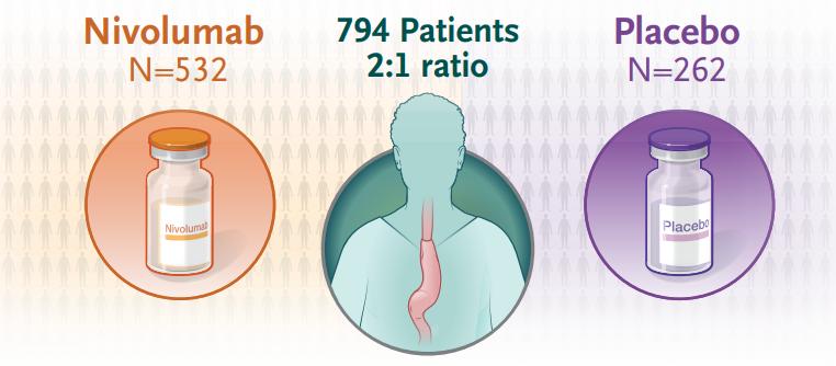 krasg12v绾虫鍒╁挨鍗曟姉杈呭姪娌荤枟,绾虫鍒╁挨鍗曟姉鏃犺繘灞曠敓瀛樻湡