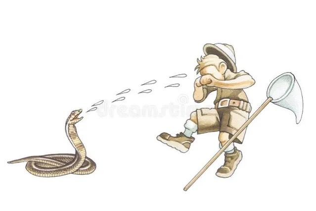 21岁男子上山采药被五步蛇咬伤,湖南21岁男子上山采药被蛇咬伤