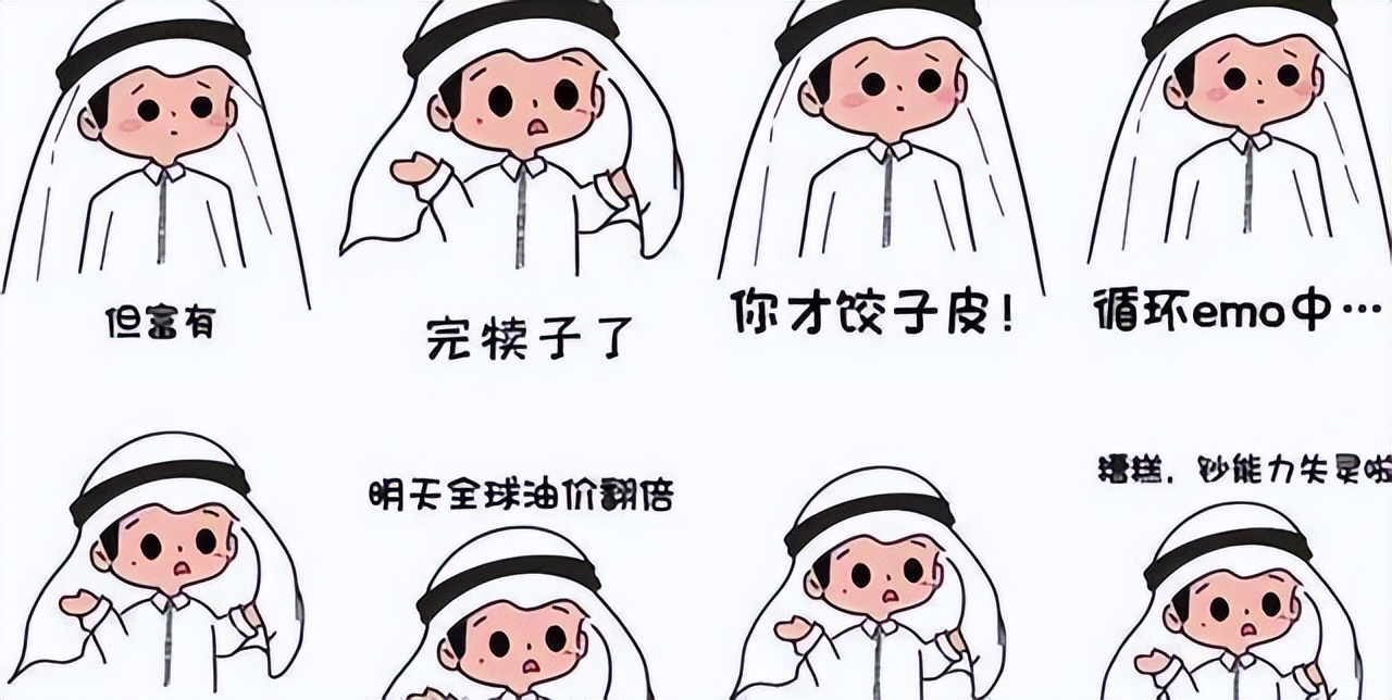 卡塔尔王子说意外成为网红,卡塔尔王子涨粉超两百万