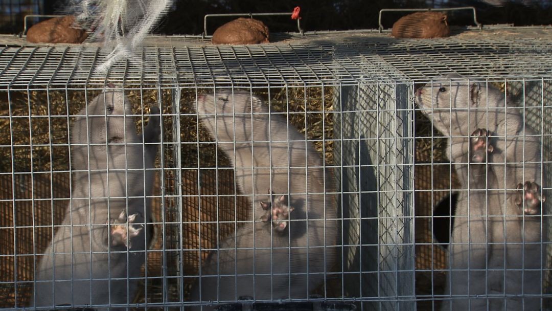 小伙创业年亏40万后逆袭,小伙创业亏损600万