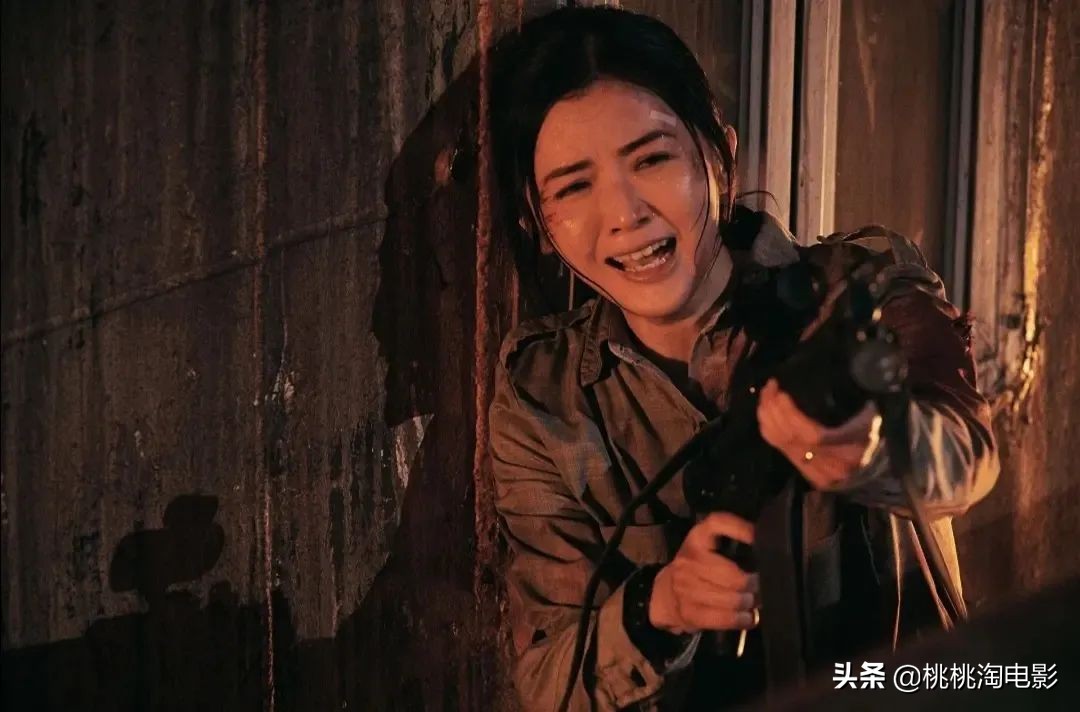 两部好电影，虽然，未必有好票房