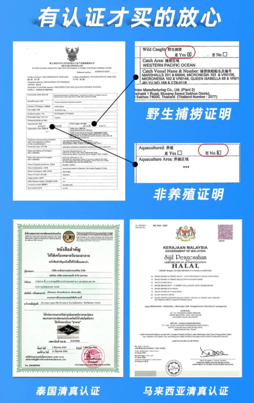 雄鷄標：专注亚洲风味，成就百年品牌