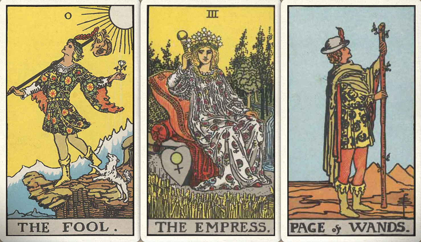 苏珊米勒双鱼座十二月十四号运势,神叨酱12星座塔罗牌