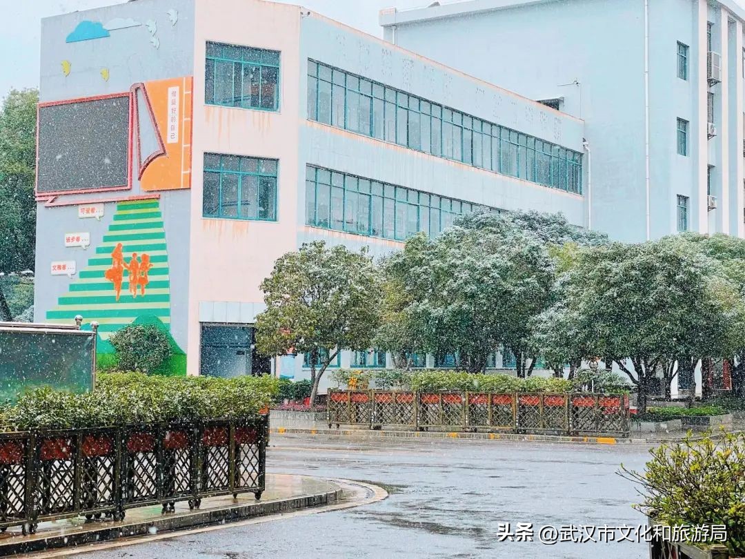 江夏区下大雪了吗,今天江夏区在下雪吗