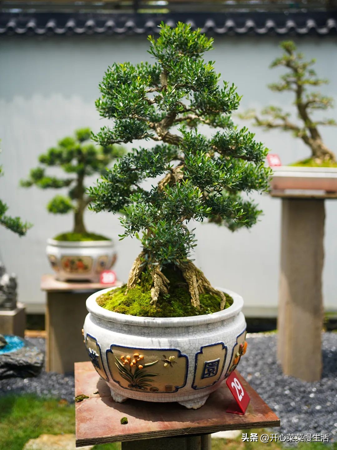 广东普宁有个万花园，由68座小花园组成，编织了农民美丽之梦