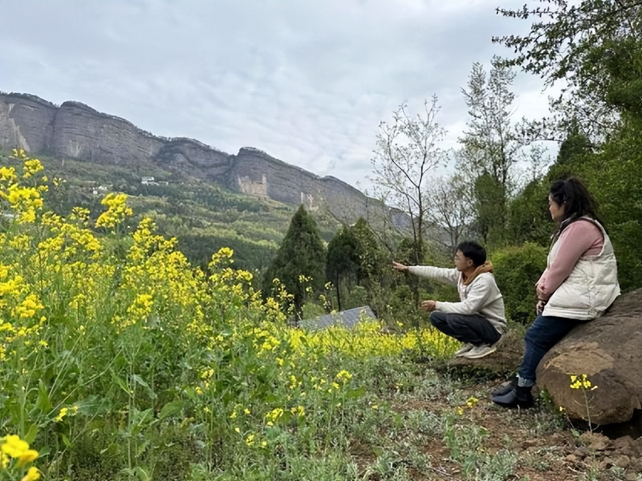 广元利州小水果成脱贫大产业,小草莓铺就致富路