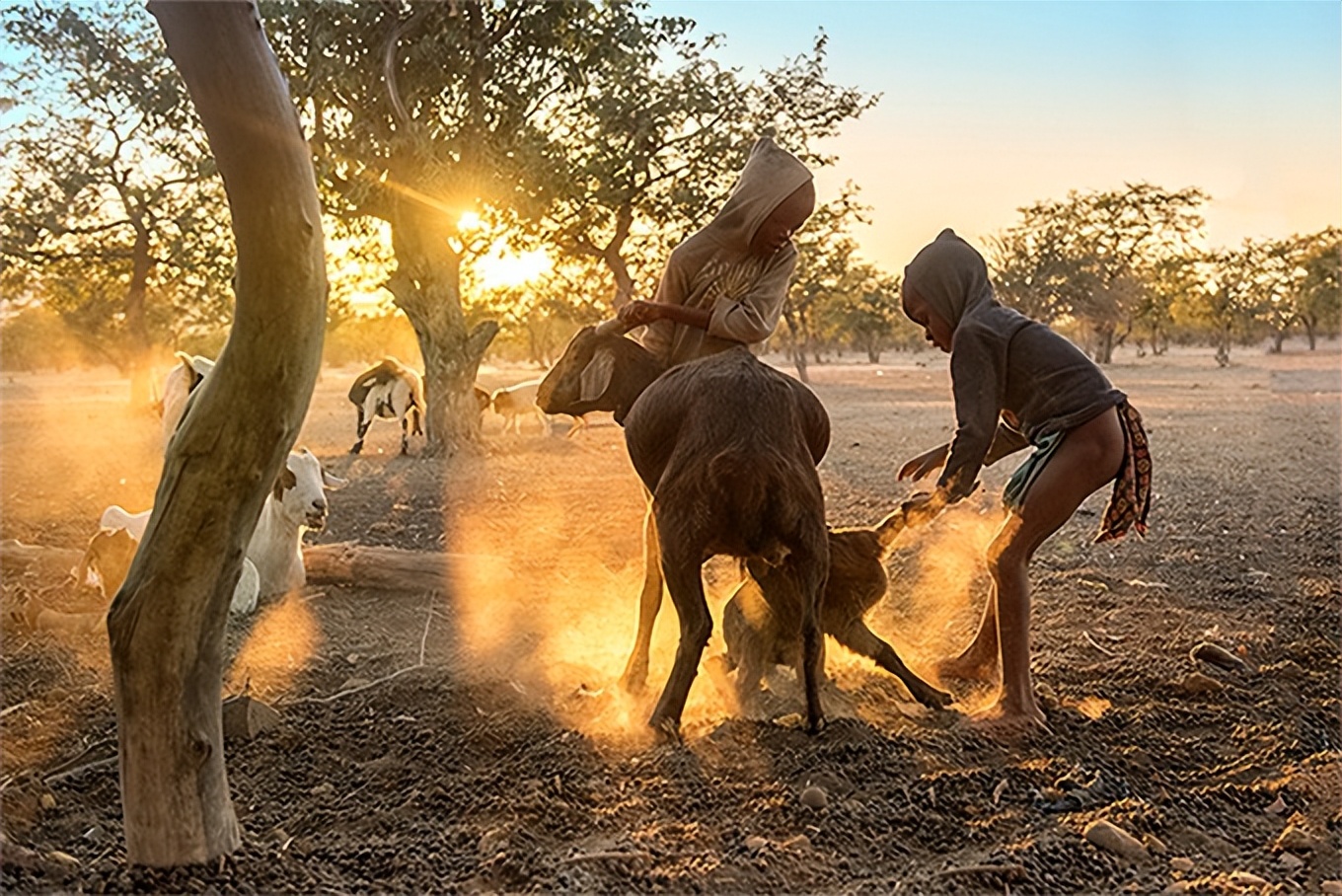男人必须娶4个老婆的国家,哪个国家男人必须娶两个以上老婆
