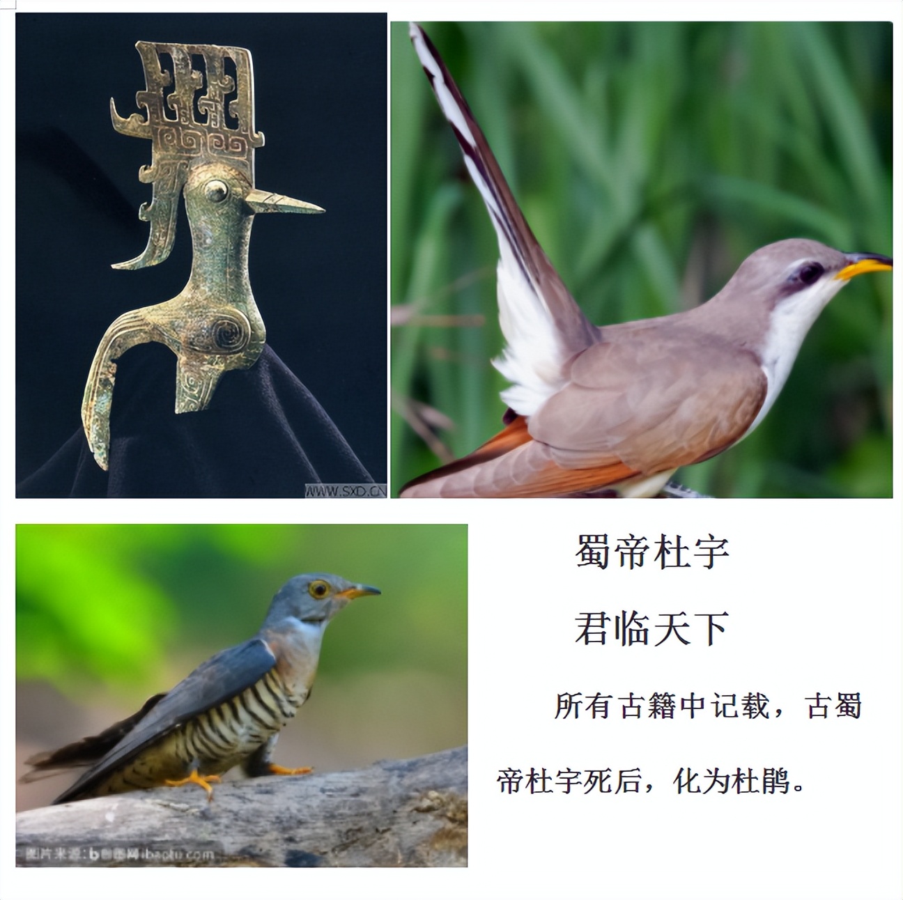 三星堆遗址出土大量精美青铜器,古蜀文化遗址三星堆青铜器