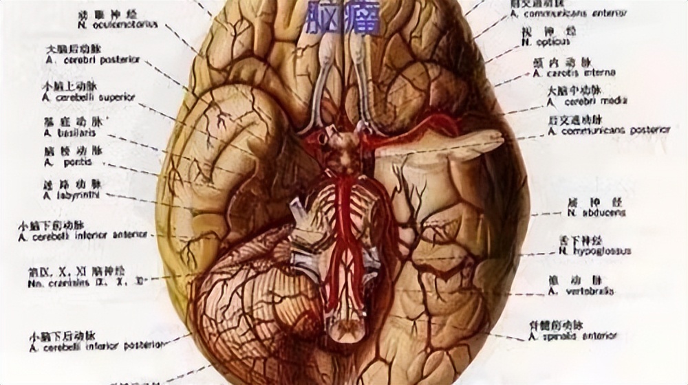 儿童患上脑肿瘤怎么办？这3种常见的治疗方法，可供家长选择