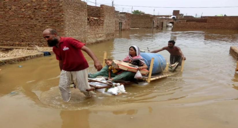 中国巴铁现状,巴铁中国物资最新消息