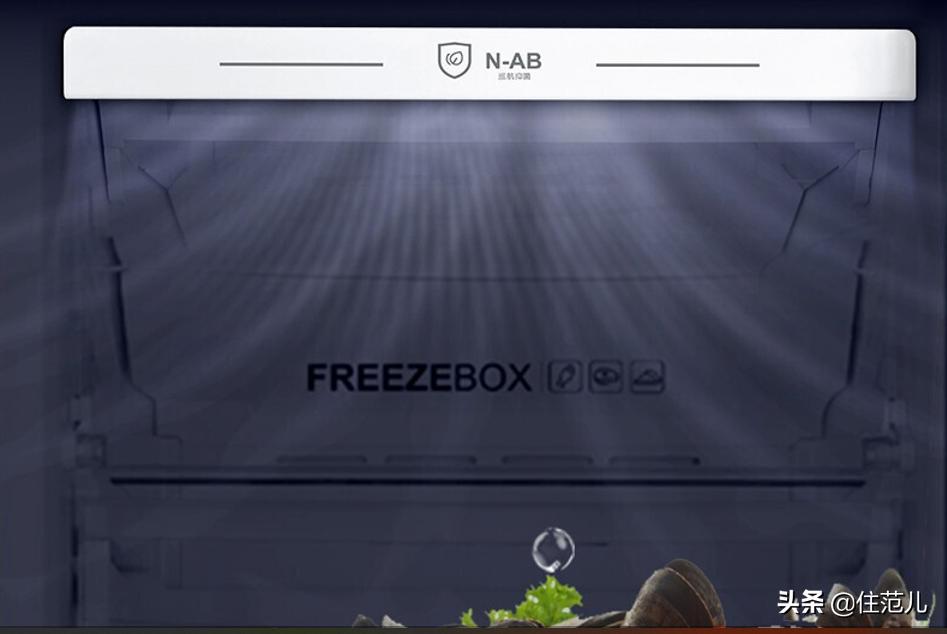 人人抢破头的冰柜，我劝你先别买