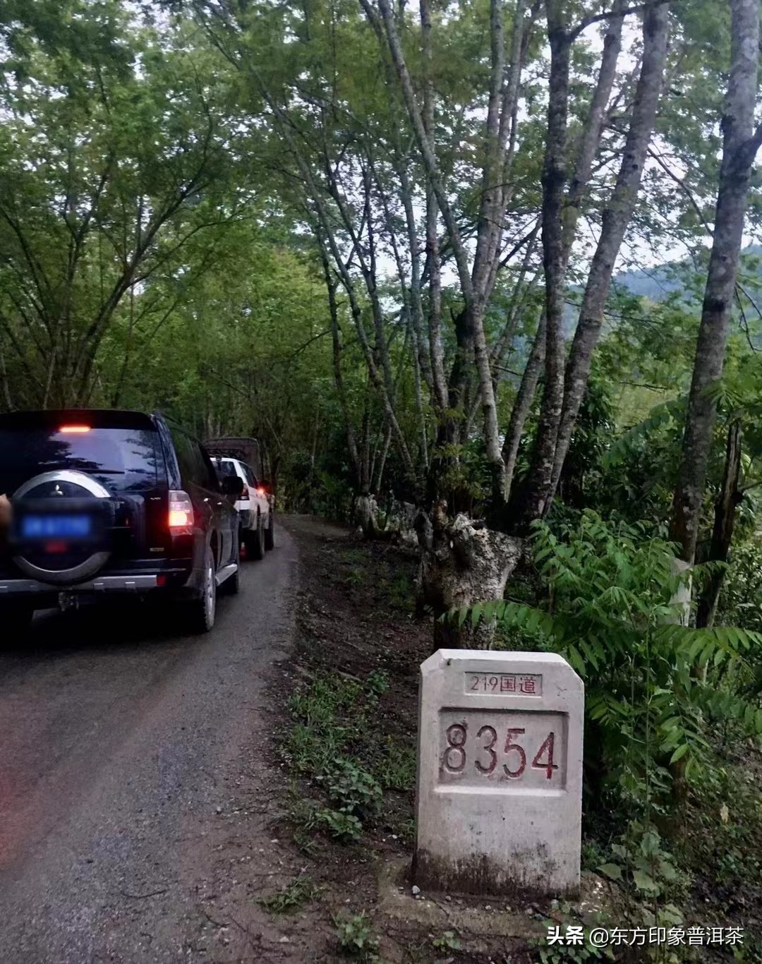 寻茶季,寻茶之旅易武终结篇