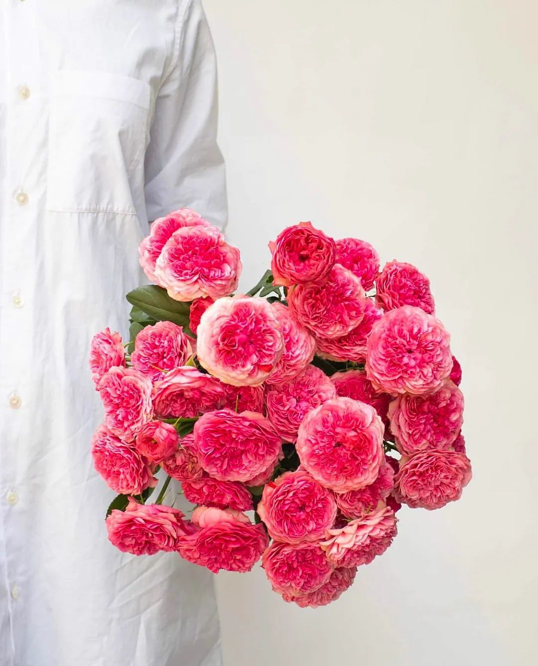 花店玫瑰养护正确方法,玫瑰养护方法延长花期