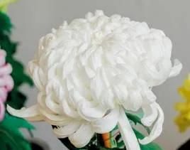 清雅花卉园艺景观,意境清雅的花草