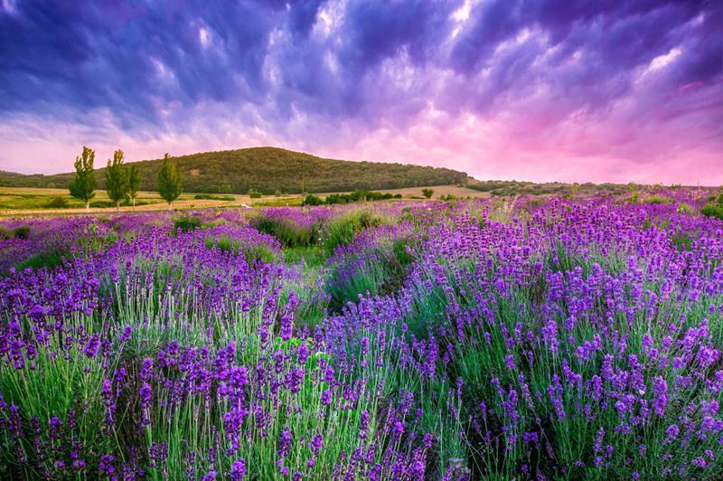 3个案例,看中国服装品牌6大战略差距