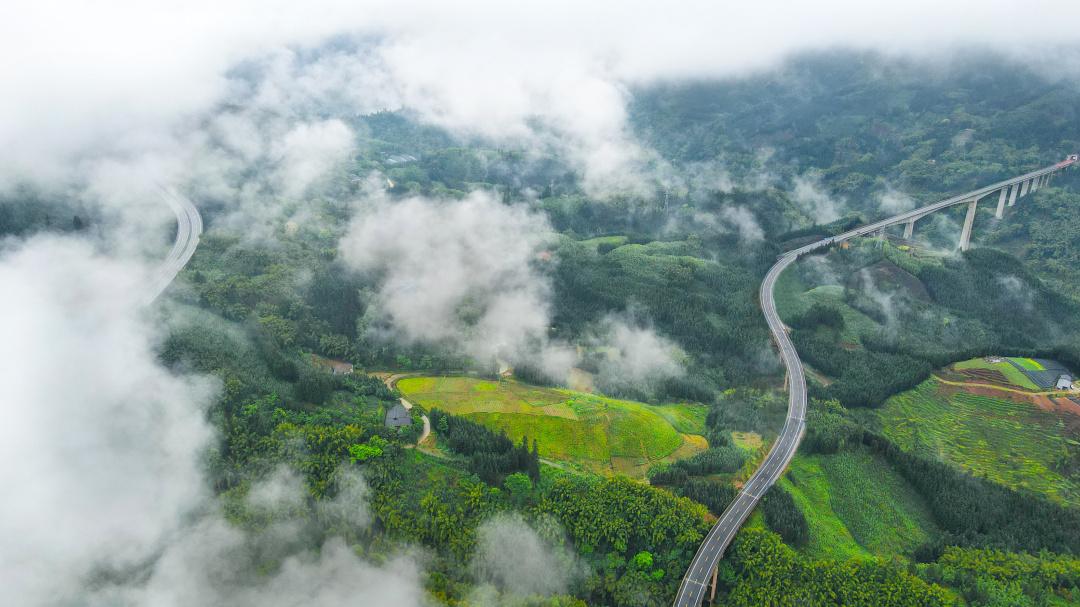 洪雅避暑胜地,洪雅最清凉的地方