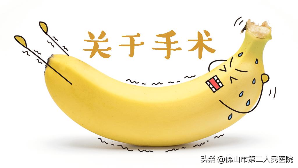 割包皮的季节,割包皮季节