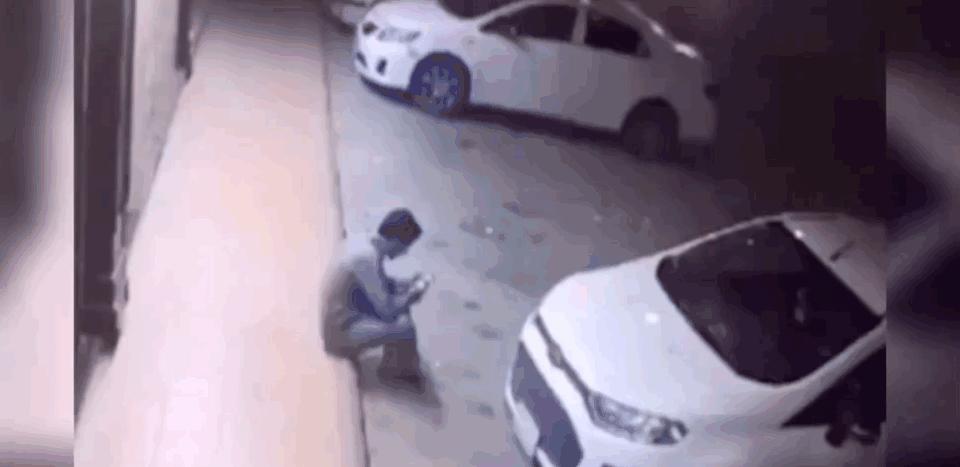 小鳄龟为啥养着养着就断尾了,以前不理解别人养宠物