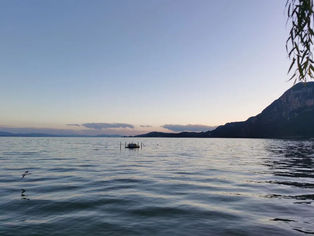 昆明滇池冬季旅游攻略最新消息,昆明滇池游玩攻略大全