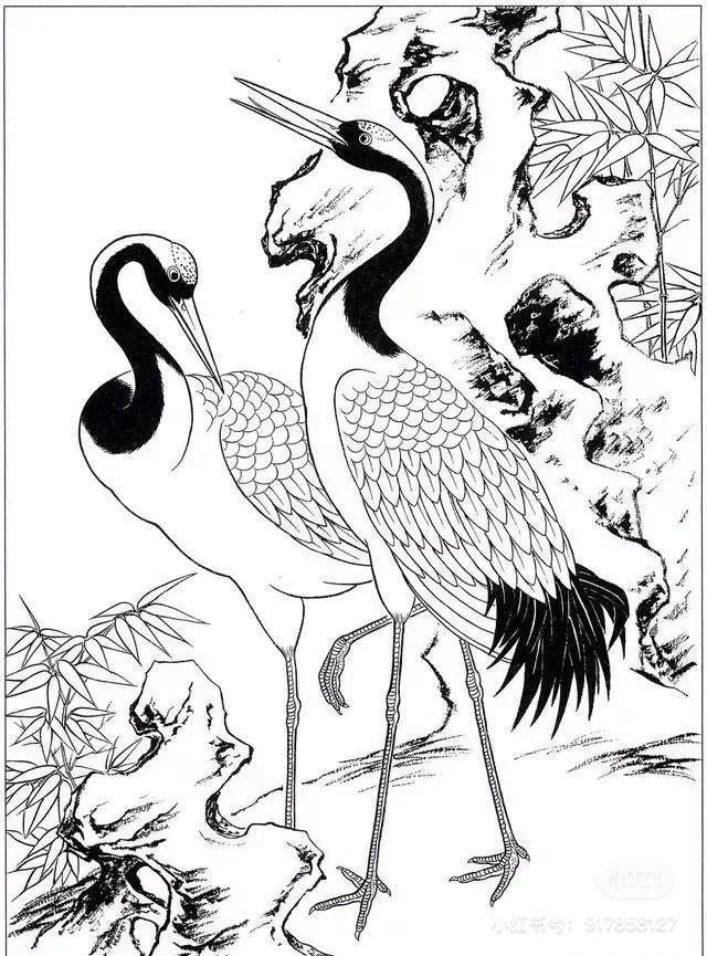 丹顶鹤女孩的故事,丹顶鹤是国鸟吗