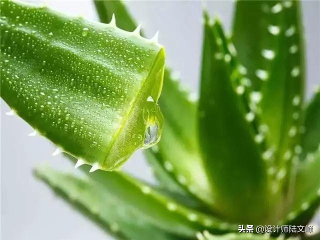 房屋主灯设计与无主灯设计哪个好,无主灯设计需要全屋弄吗