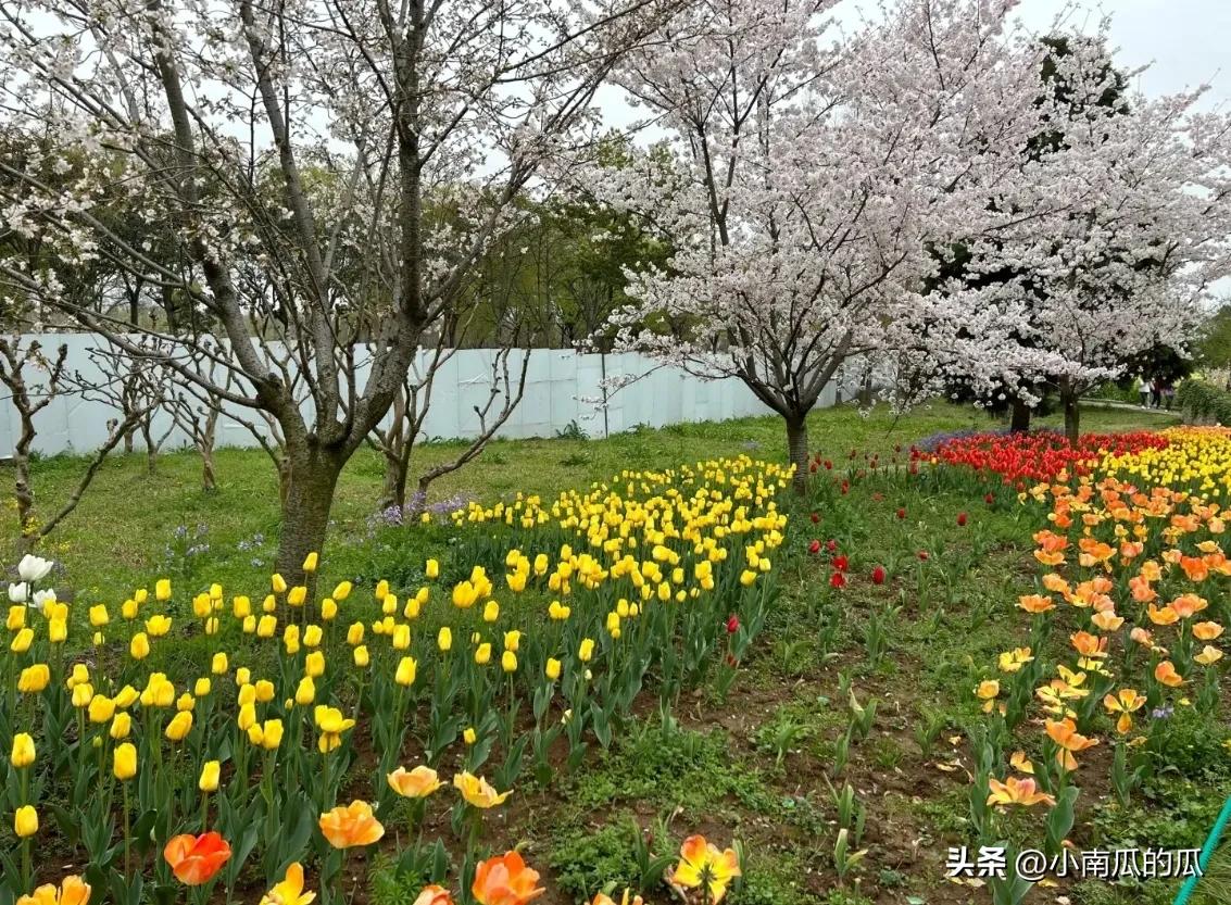 苏州休闲娱乐的景点,苏州娱乐游玩项目