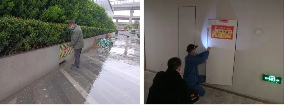 春天藏在温暖的阳光里,春天藏在生活里