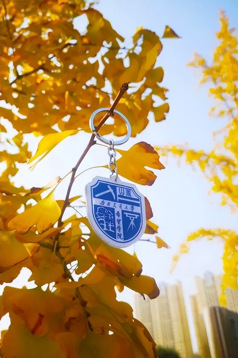 悄悄告诉你，来交大希望学院不能错过这站！