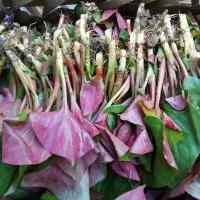 男人为什么不想要孩子,男人不想要孩子是什么原因