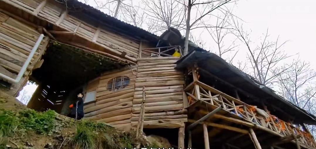 90后小伙回农场投资百万种果园,70后大叔创造奇迹种地赚100万