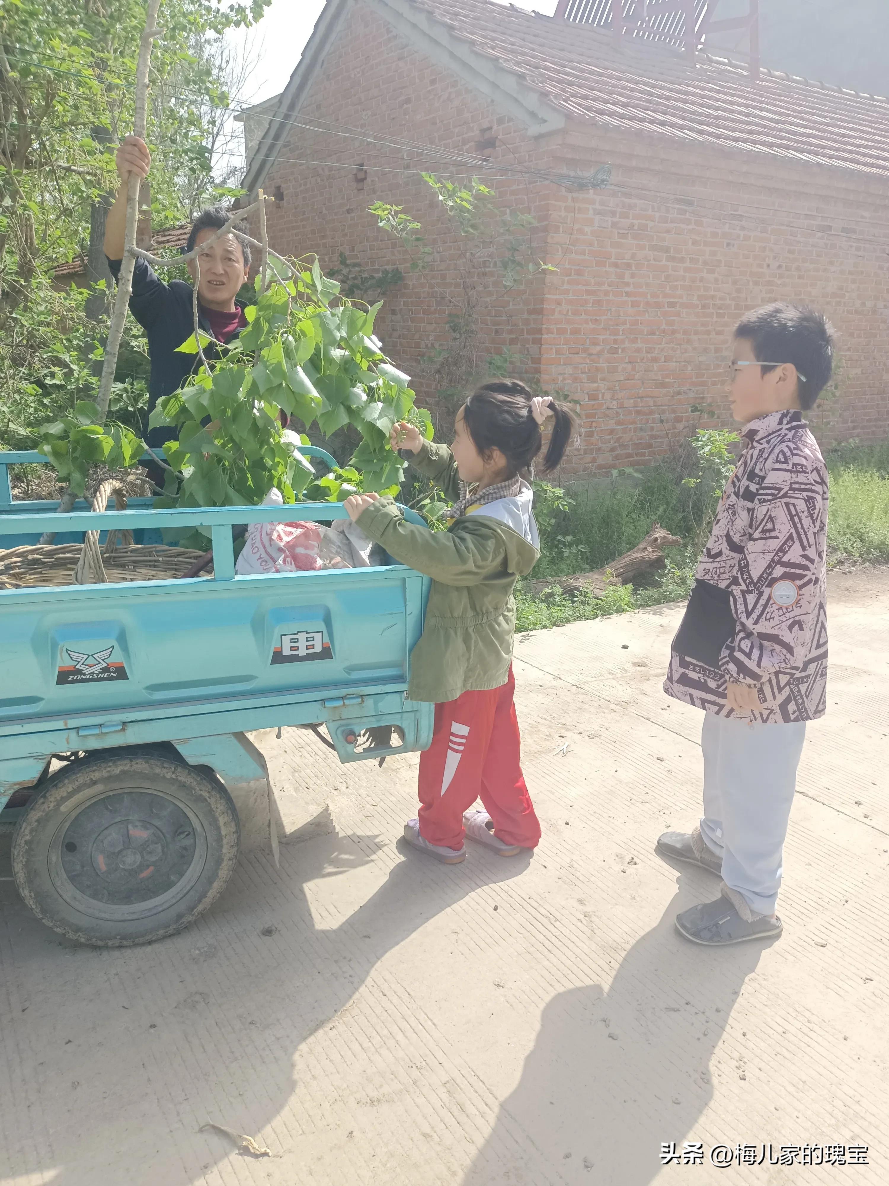 两次阴超检查男医生更温柔，动武的男人心胸狭隘，女医生能胜任吗