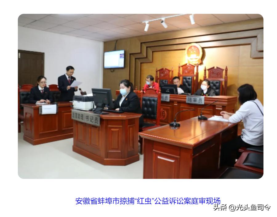 臭水沟捞到金龙鱼,捕捞臭水沟红虫