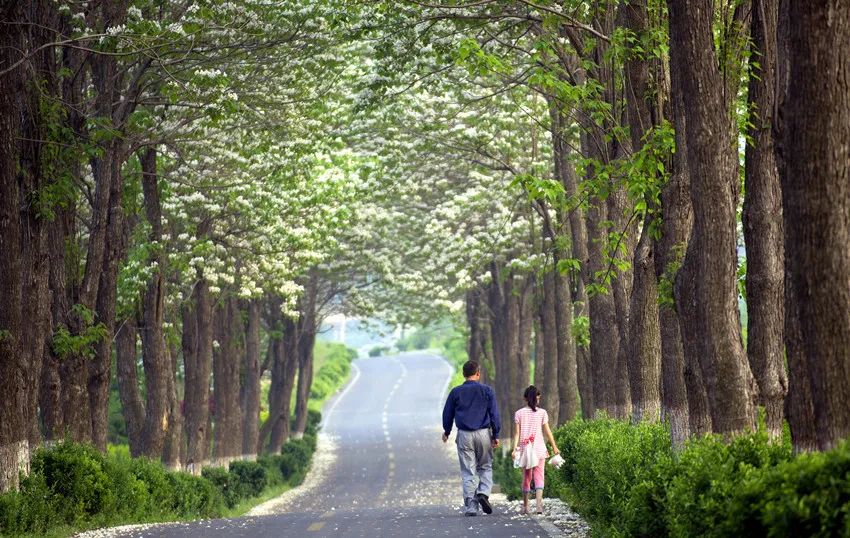 大美银滩邂逅夏日滨海的清凉,暑期最佳旅游线路8天左右