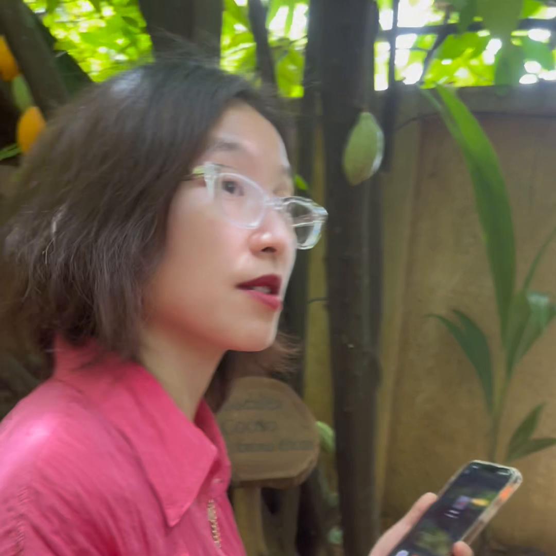 当我没来过什么意思,当我没来过女声版