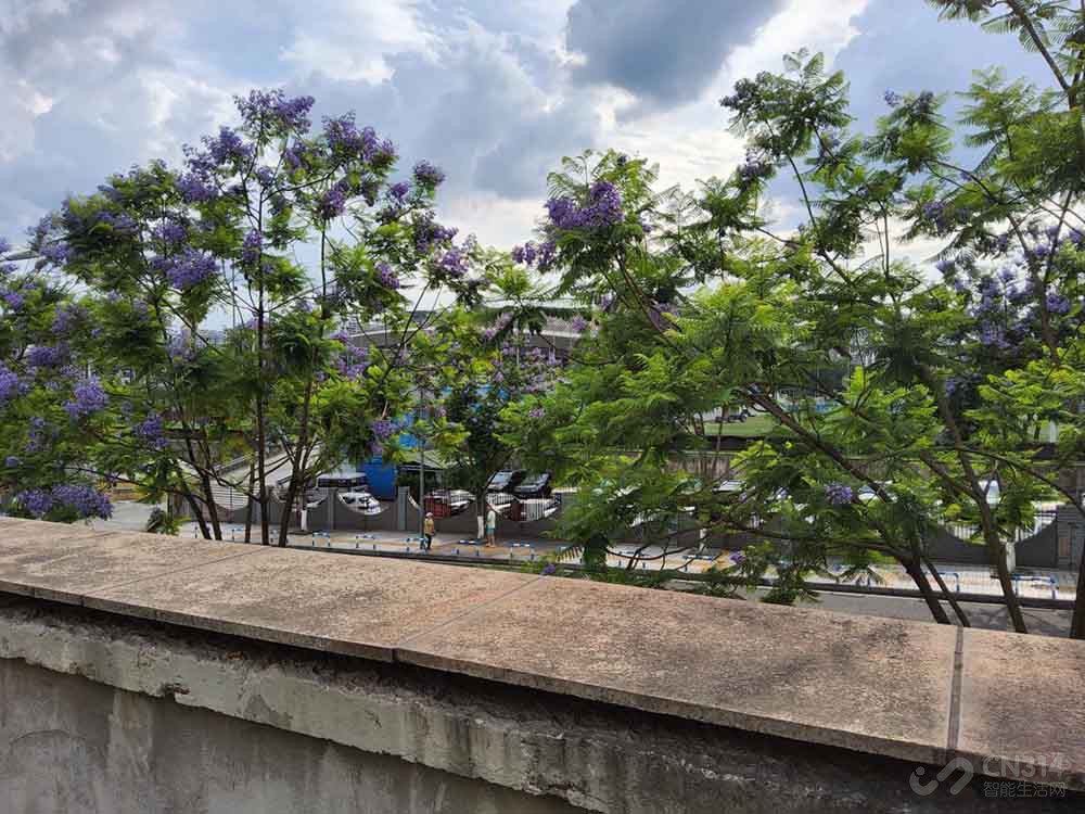 三星tabs8ultra上手测评,三星tabs8ultra深度评测