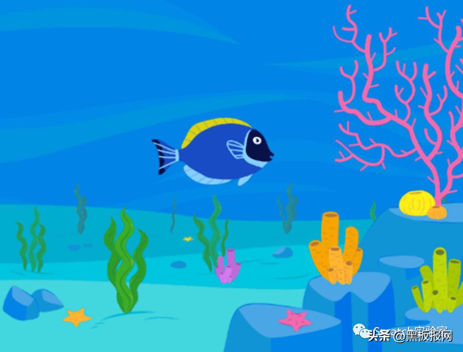 scratch编程等级考试四级题,scratch编程等级考试在哪里报名