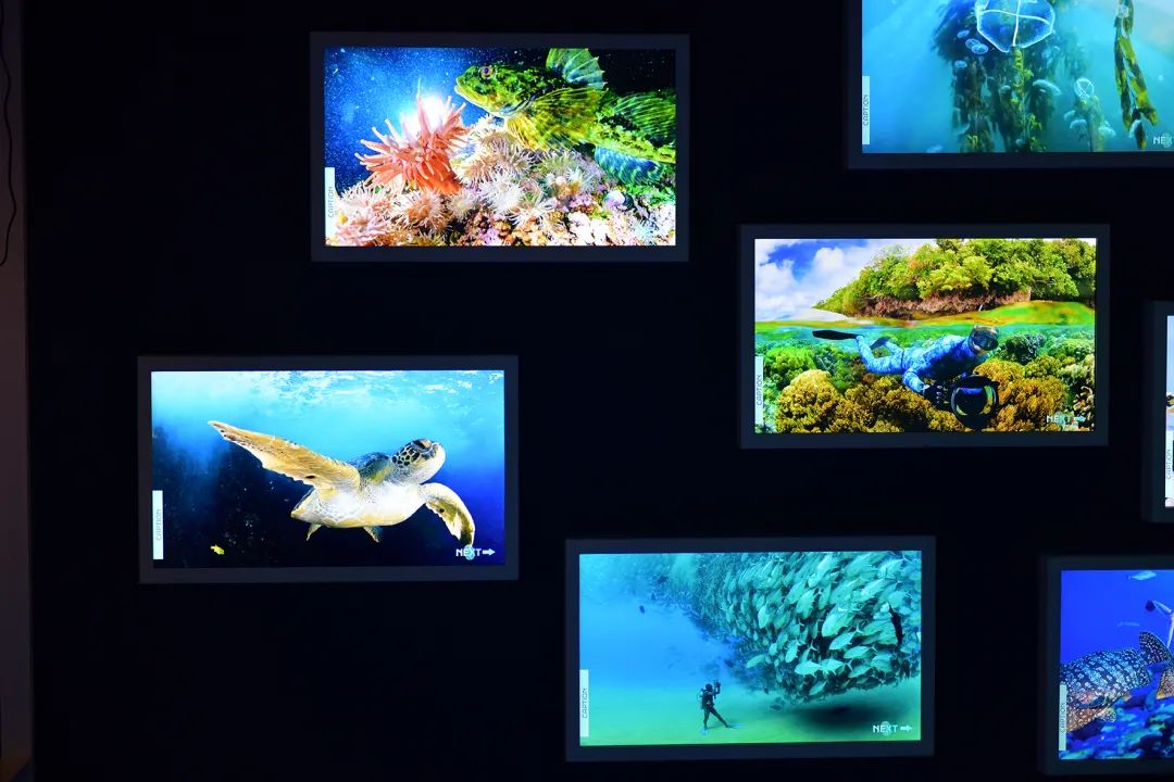 V世界｜夏天，在阿布扎比的11个“极致”体验