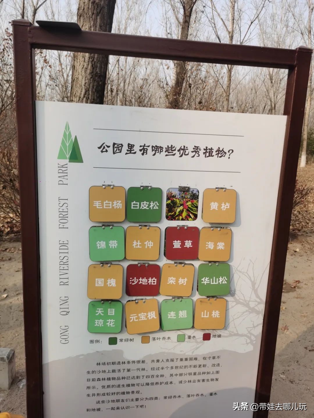 在森林公园里玩耍,中国可以骑行的森林公园