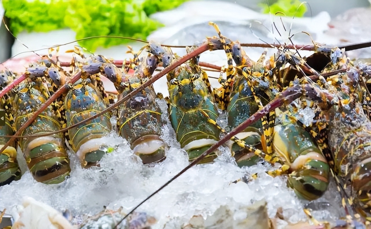 涓浗娓稿閽熸儏娉板浗,涓浗鍜屾嘲鍥界殑鐖辨儏鏁呬簨