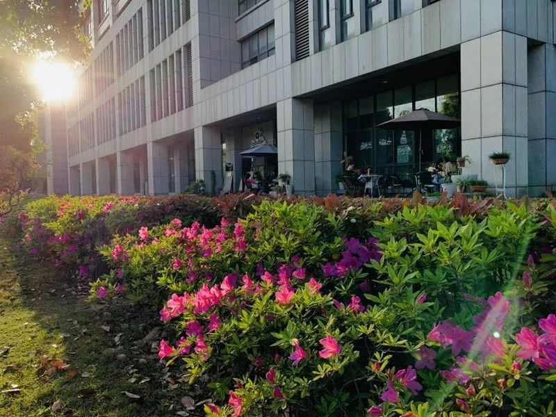 为什么华夏理工学院学费这么贵,为什么选择帝国理工