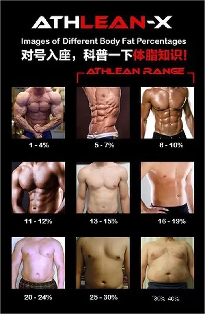 腹肌练习动作快速练完美的腹肌,腹肌锻炼方法马甲线难度