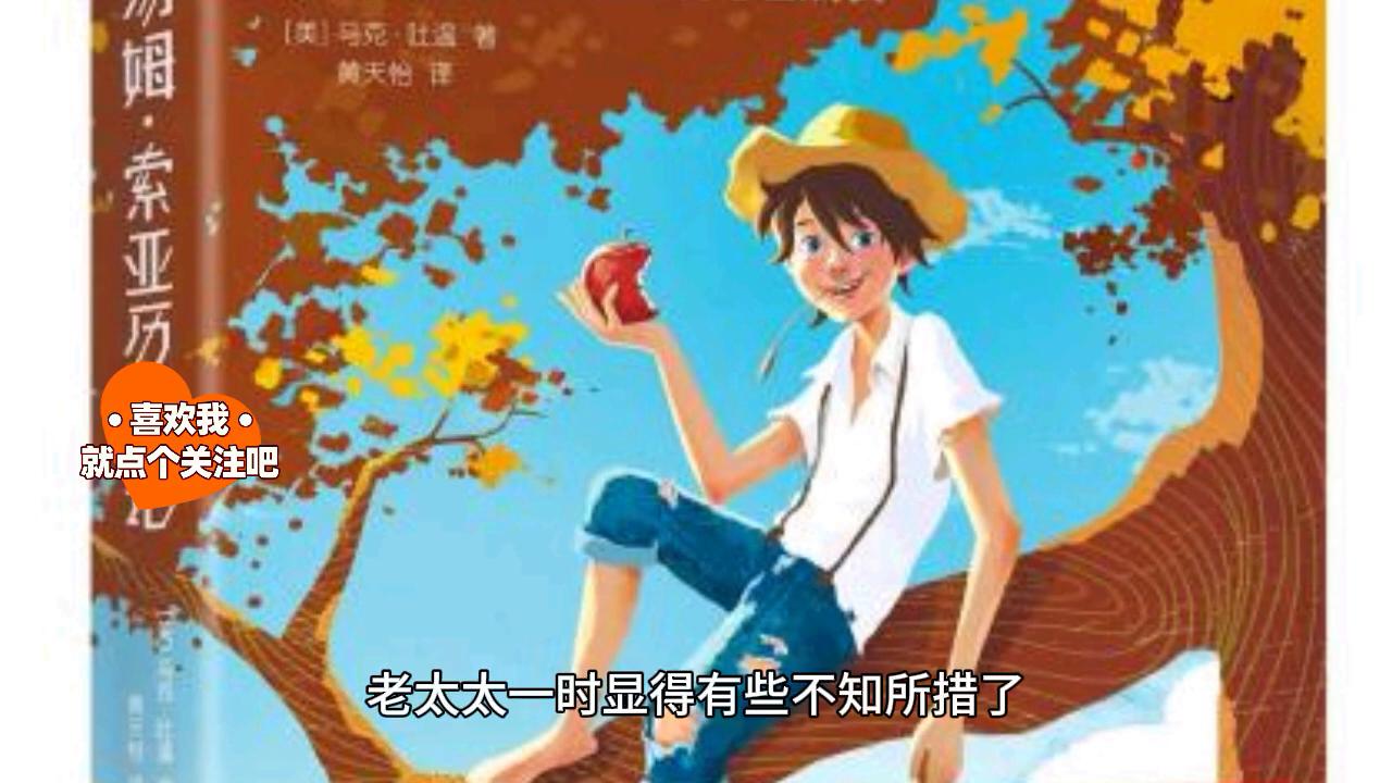 汤姆索耶历险记视频,汤姆索耶历险