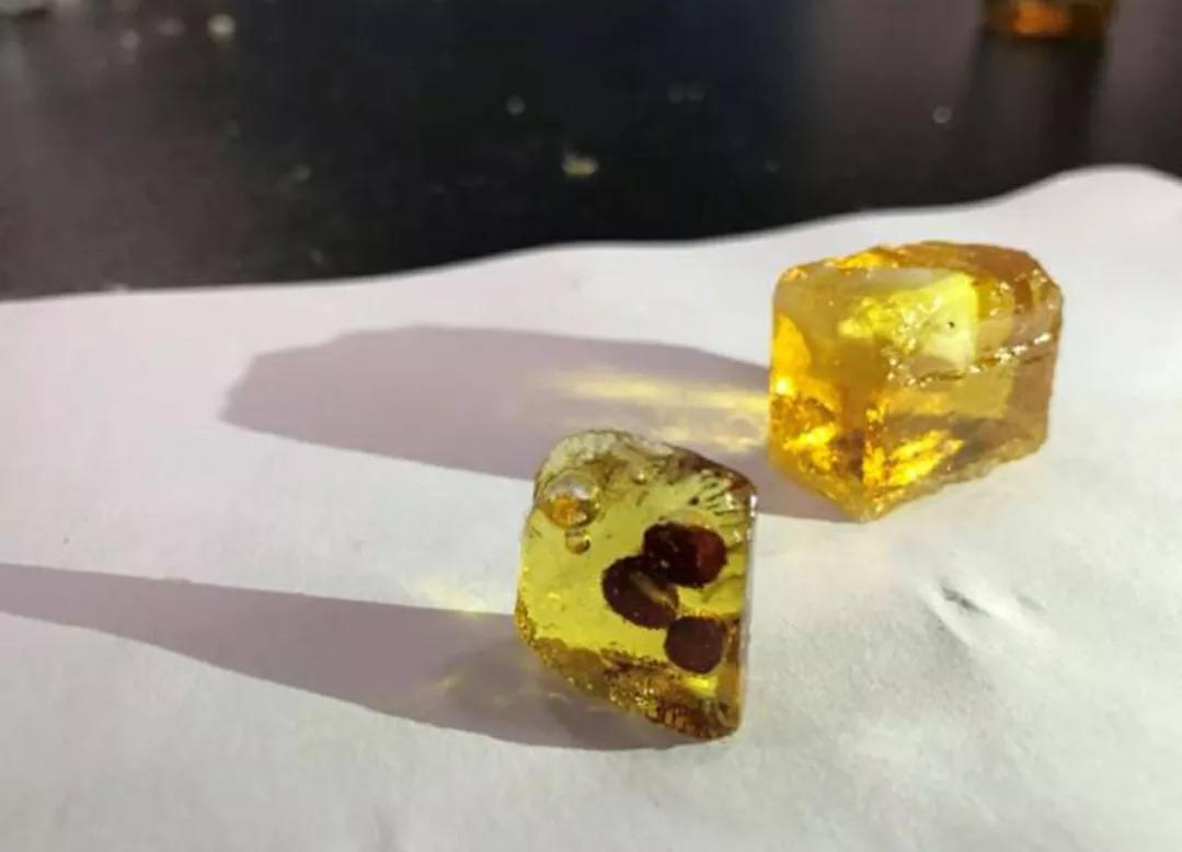 琥珀昆虫标本制作过程,琥珀标本的制作方法去气泡