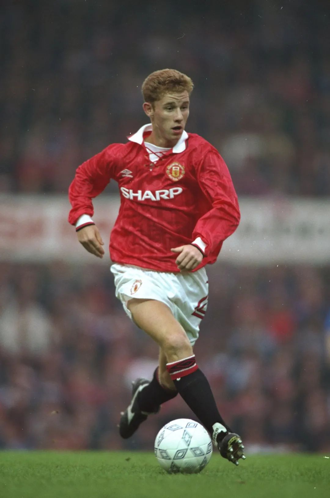 塞尔赫斯特公园实景,塞尔赫斯特公园