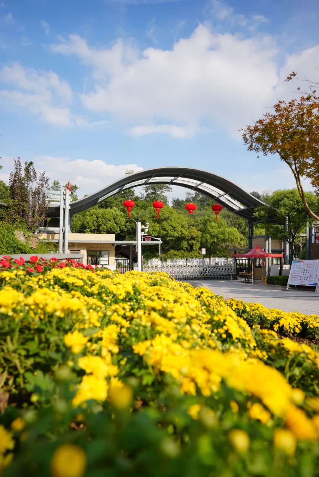 南京燕子矶中学特色,南京燕子矶中学在南京市排名