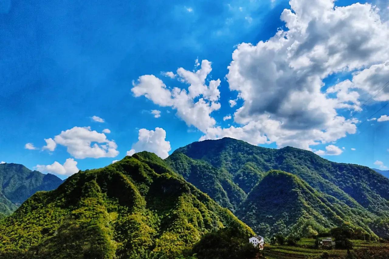上山下乡五十周年礼赞,知青上山下乡五十周年盛会