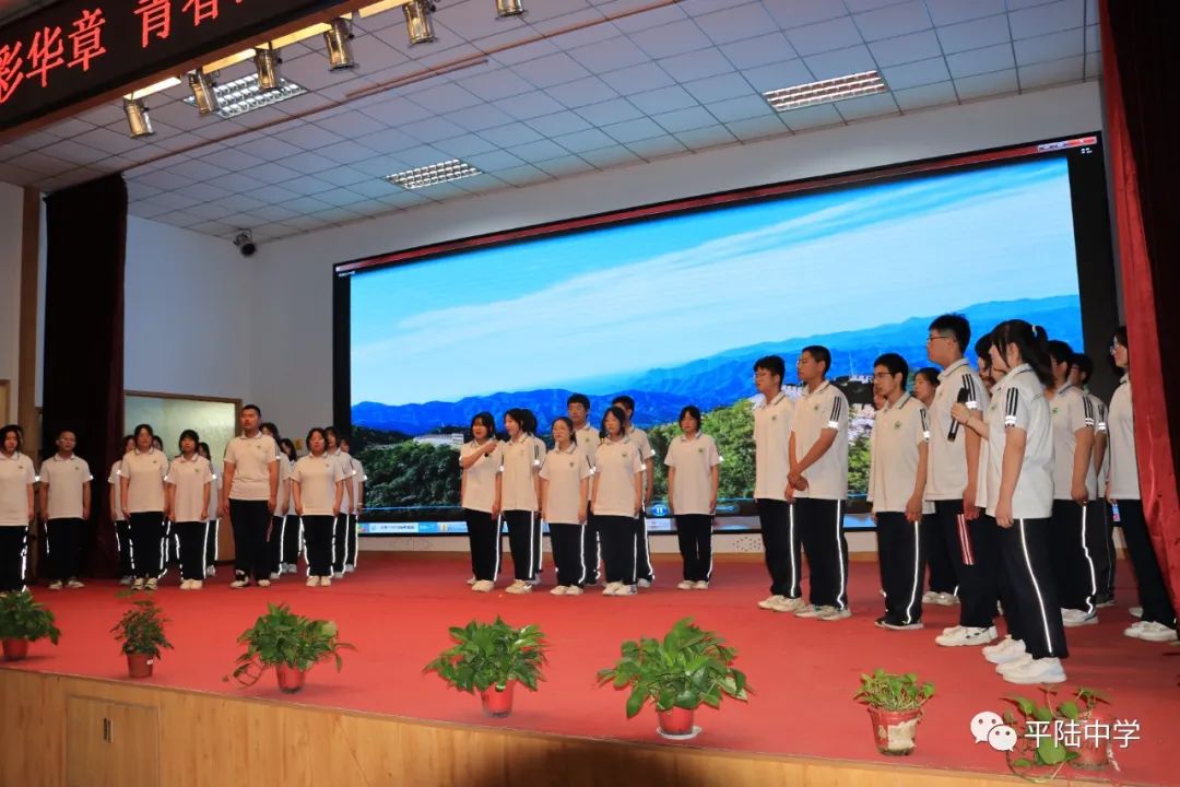 骞抽檰涓绀惧洟琛ㄦ紨,骞抽檰涓绀惧洟娲诲姩