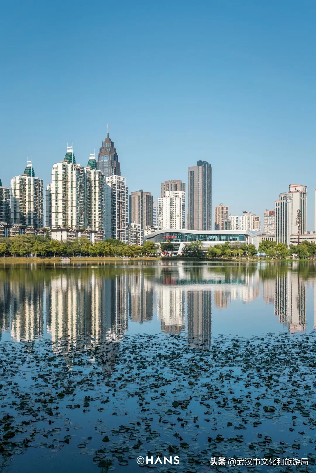 离武汉人最近的湿地，家楼下的10个宝藏小湖