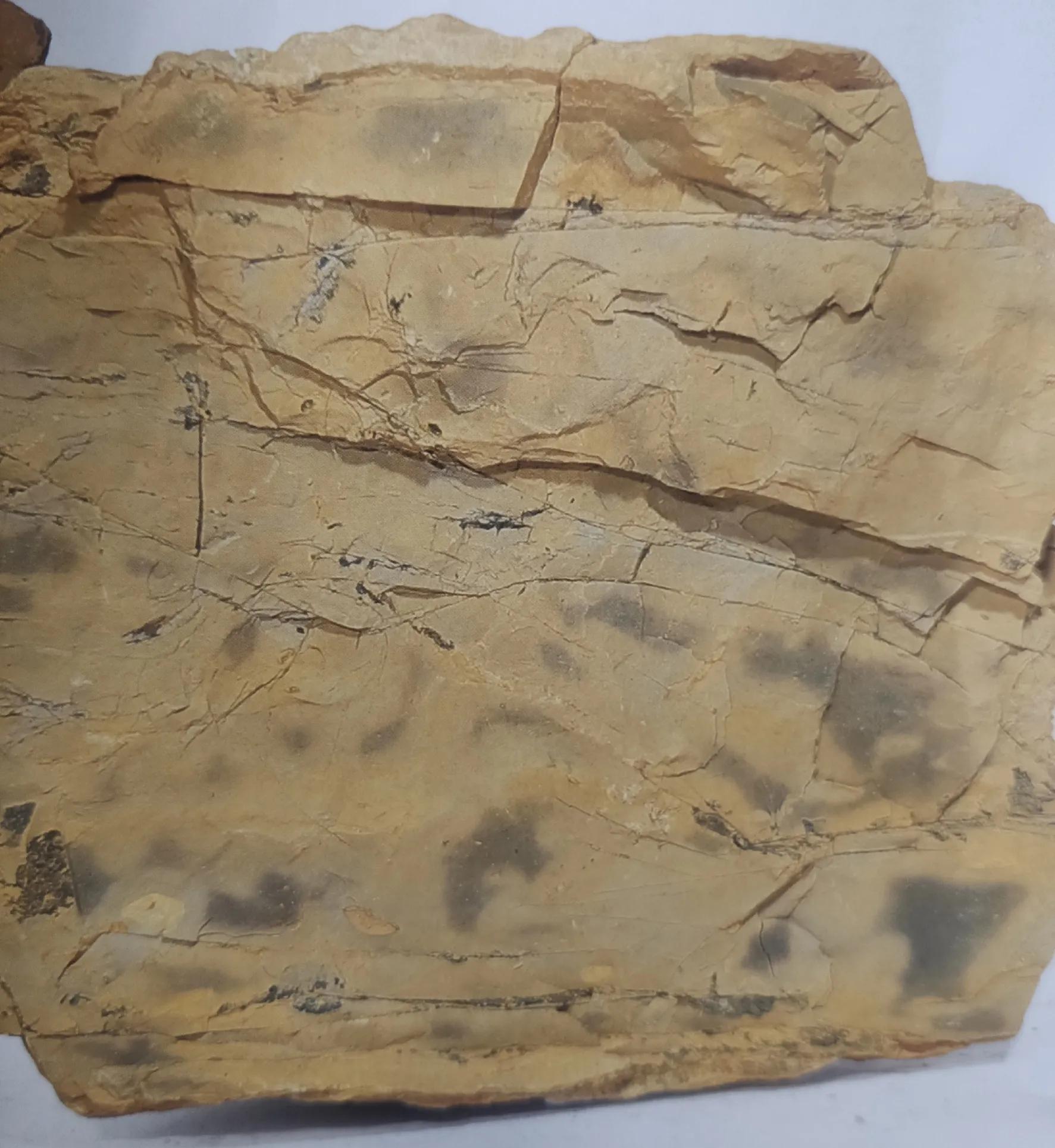 黄龙山朱泥和赵庄朱泥哪个更红艳,朱泥大红袍颜色很红艳吗